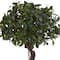 Nearly Natural; 4.5ft. Sweet Bay Double Topiary Tree in Farmhouse Planter; Category:Trees & Floor Plants; Image:3